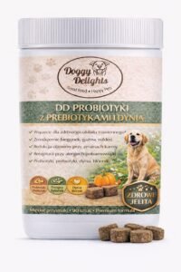 DD Probiotyki z Prebiotykami i Dynią