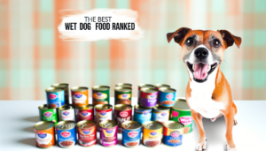 najlepsza mokra karma dla psa ranking