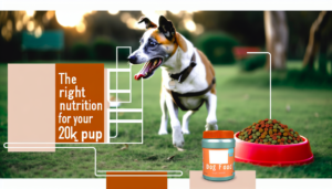 karma dla psa 20 kg