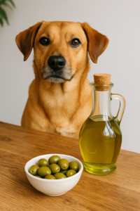 Czy oliwa z oliwek jest zdrowa dla psa?