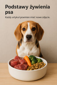 Podstawy żywienia psa