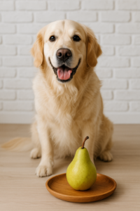 Czy psy mogą jeść gruszki?